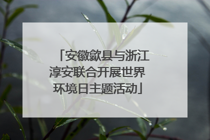 安徽歙县与浙江淳安联合开展世界环境日主题活动