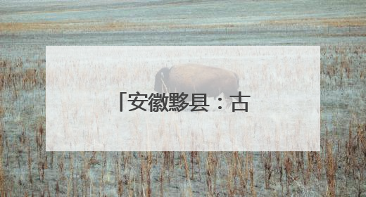 安徽黟县：古村夏日插秧忙