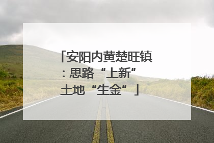 安阳内黄楚旺镇：思路“上新” 土地“生金”