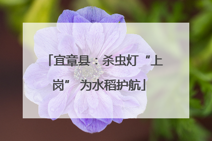 宜章县：杀虫灯“上岗” 为水稻护航