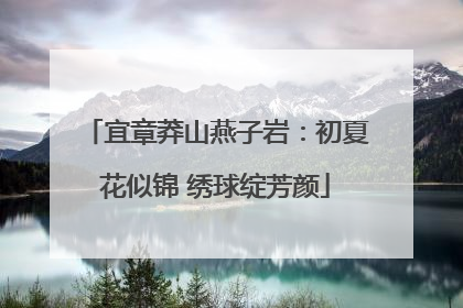 宜章莽山燕子岩：初夏花似锦 绣球绽芳颜