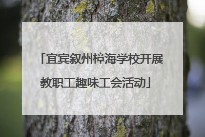 宜宾叙州樟海学校开展教职工趣味工会活动