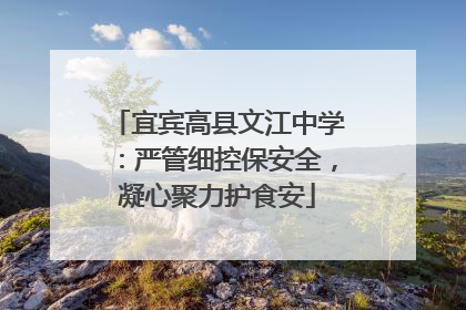 宜宾高县文江中学：严管细控保安全，凝心聚力护食安
