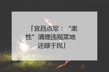 宜昌点军：“柔性”清理违规菜地 还绿于民