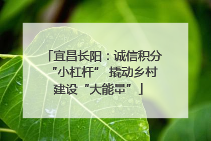 宜昌长阳：诚信积分“小杠杆” 撬动乡村建设“大能量”