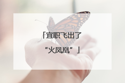 宜职飞出了“火凤凰”