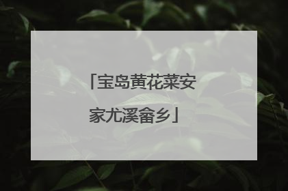 宝岛黄花菜安家尤溪畲乡