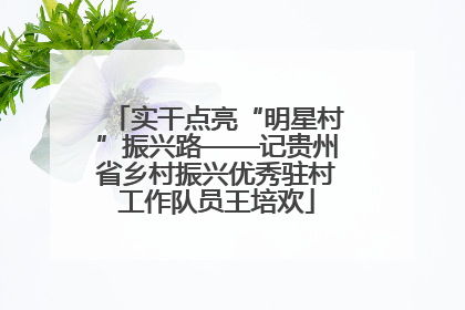 实干点亮“明星村”振兴路——记贵州省乡村振兴优秀驻村工作队员王培欢