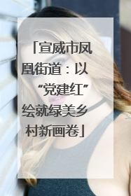 宣威市凤凰街道：以“党建红”绘就绿美乡村新画卷