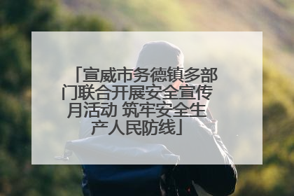 宣威市务德镇多部门联合开展安全宣传月活动 筑牢安全生产人民防线