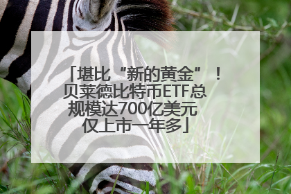 堪比“新的黄金”！贝莱德比特币ETF总规模达700亿美元 仅上市一年多