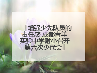 增强少先队员的责任感 成都青羊实验中学附小召开第六次少代会