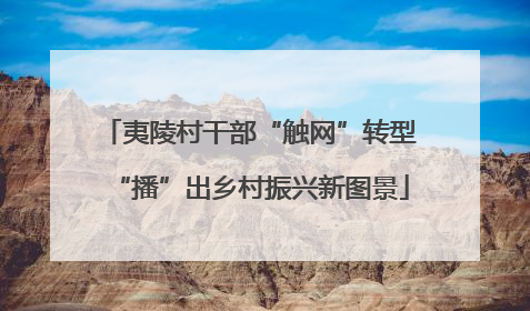 夷陵村干部“触网”转型“播”出乡村振兴新图景