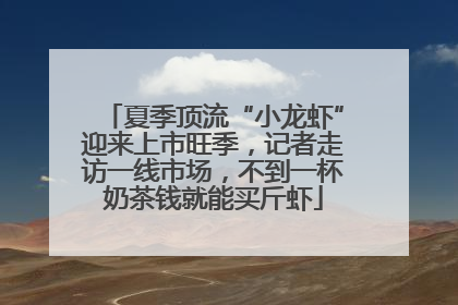 夏季顶流“小龙虾”迎来上市旺季，记者走访一线市场，不到一杯奶茶钱就能买斤虾