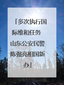 多次执行国际维和任务 山东公安民警陈强亮相国新办
