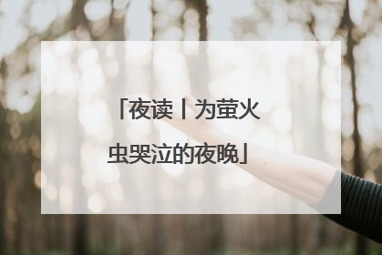 夜读丨为萤火虫哭泣的夜晚