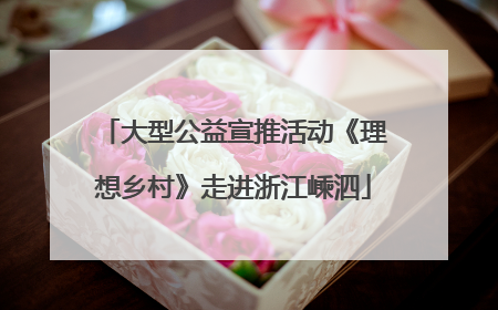 大型公益宣推活动《理想乡村》走进浙江嵊泗