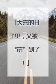 大喜的日子里，又被“萌”到了！