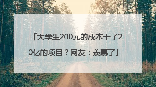 大学生200元的成本干了20亿的项目？网友：羡慕了