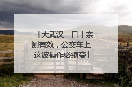 大武汉一日丨亲测有效，公交车上这波操作必须夸