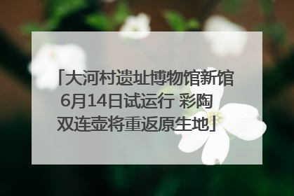 大河村遗址博物馆新馆6月14日试运行 彩陶双连壶将重返原生地