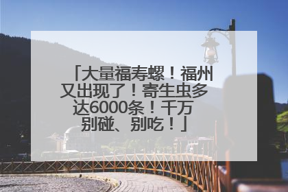 大量福寿螺！福州又出现了！寄生虫多达6000条！千万别碰、别吃！