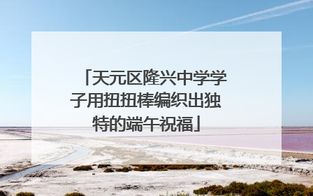 天元区隆兴中学学子用扭扭棒编织出独特的端午祝福