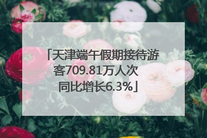 天津端午假期接待游客709.81万人次 同比增长6.3%