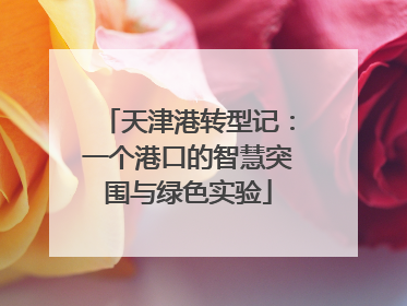 天津港转型记：一个港口的智慧突围与绿色实验