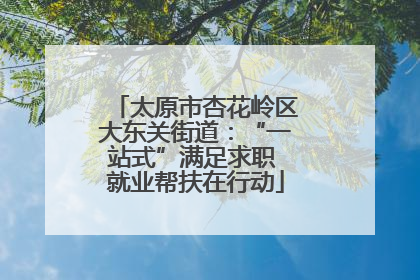 太原市杏花岭区大东关街道：“一站式”满足求职 就业帮扶在行动