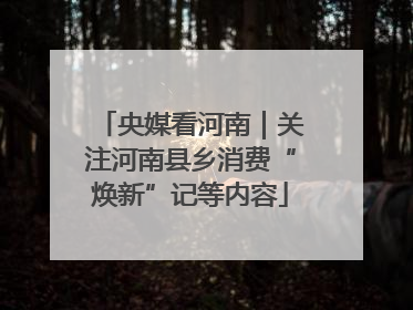 央媒看河南｜关注河南县乡消费“焕新”记等内容