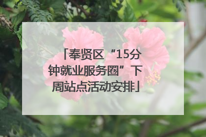 奉贤区“15分钟就业服务圈”下周站点活动安排