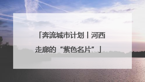 奔流城市计划丨河西走廊的“紫色名片”