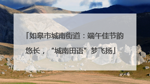 如皋市城南街道：端午佳节韵悠长，“城南田语”梦飞扬