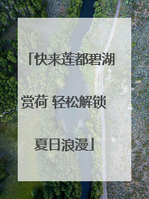 快来莲都碧湖赏荷 轻松解锁夏日浪漫