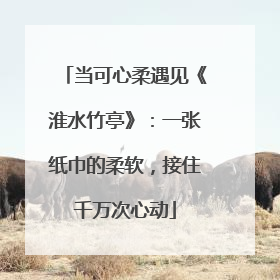 当可心柔遇见《淮水竹亭》：一张纸巾的柔软，接住千万次心动