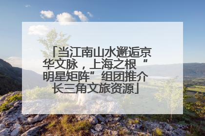 当江南山水邂逅京华文脉，上海之根“明星矩阵”组团推介长三角文旅资源