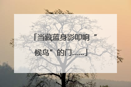 当藏蓝身影叩响“候鸟”的门……
