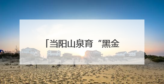 当阳山泉育“黑金” 一条鲟鱼“游”出10亿元大产业