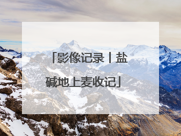 影像记录丨盐碱地上麦收记