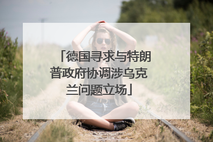 德国寻求与特朗普政府协调涉乌克兰问题立场
