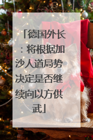 德国外长：将根据加沙人道局势决定是否继续向以方供武