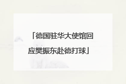 德国驻华大使馆回应樊振东赴德打球