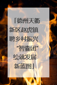 德州天衢新区赵虎镇聘乡村振兴“智囊团” 绘就发展新蓝图