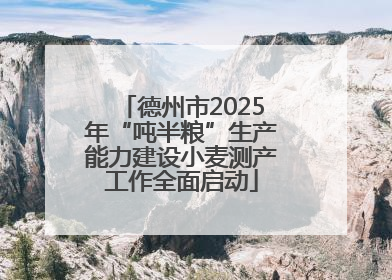 德州市2025年“吨半粮”生产能力建设小麦测产工作全面启动
