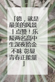 德，就是最美的风景丨点赞！乐陵两名高中生深夜拾金不昧 彰显青春正能量