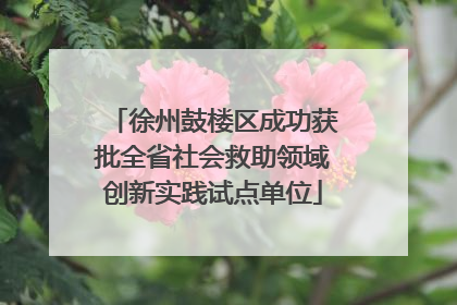 徐州鼓楼区成功获批全省社会救助领域创新实践试点单位