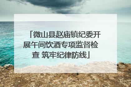 微山县赵庙镇纪委开展午间饮酒专项监督检查 筑牢纪律防线