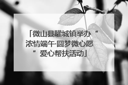 微山县驩城镇举办“浓情端午·圆梦微心愿”爱心帮扶活动