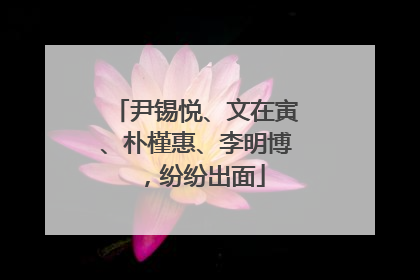 尹锡悦、文在寅、朴槿惠、李明博，纷纷出面